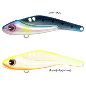 アムズデザイン ima SCHNEIDER 13 シュナイダー 55mm