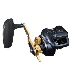 DAIWA（ダイワ） ジギングリール ティエラ LJ IC 200 右ハンドル 23年