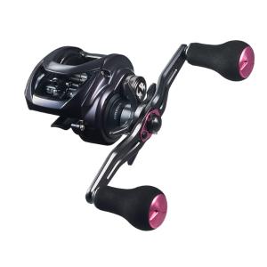 DAIWA（ダイワ） 紅牙 IC 100PL−RM ／カウンター付きリール
