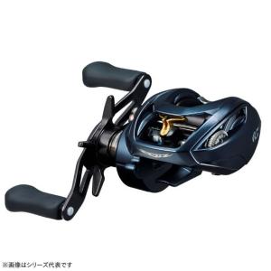 DAIWA（ダイワ） 22 ジリオン TW HD 1000XH (右ハンドル/ギア比：8.1