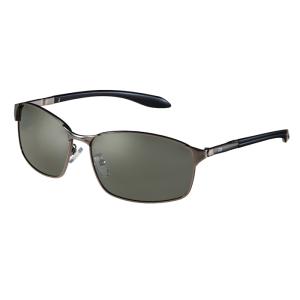 【超美品！！】DAIWA　偏光サングラス DAIWA（ダイワ） 偏光グラス TLX024 トゥルービューシルバーブルー