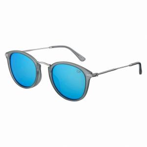 DAIWA（ダイワ） DN-8055CH 偏光グラス グレー （2025年 新製品