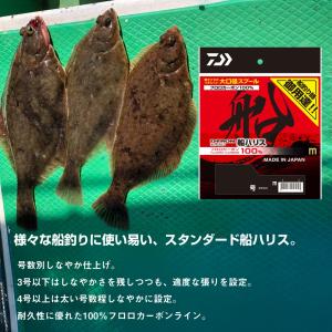 ダイワ ディーフロン船ハリス ナチュラル 70...の詳細画像2