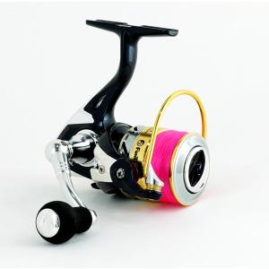 DAIWA（ダイワ） ダイワ×かめや ファインモード 2508DX-PE 国産PE0.8号