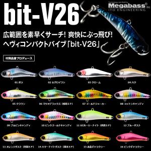 アムズデザイン アイマ シュナイダー13 (シーバス ルアー) ゆう