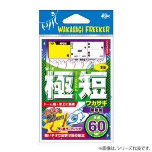 DAIWA（ダイワ） クリスティア ワカサギ 穂先延長キット 5cm : つり具