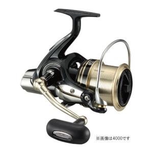 ダイワ 17 ウインドキャスト 4500 (投げ釣り用スピニングリール)｜fishing-you