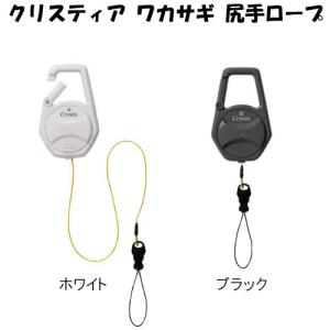 DAIWA（ダイワ） クリスティア ワカサギ ふんばるレッグ プレート