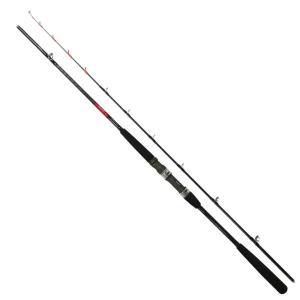 DAIWA（ダイワ） 船竿 落とし込みX M-240 [2020年モデル] : 釣具の