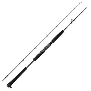 DAIWA（ダイワ） ネオステージ DG J60B-4 / 電動ジギング専用 ロッド