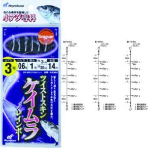 ハヤブサ 小アジ専科 ツイストケイムラレインボー HS303 ゆうパケット可