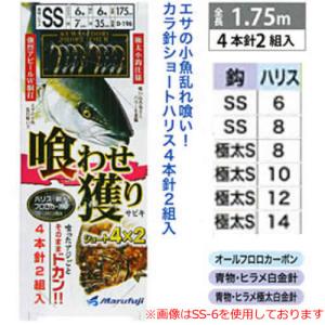DAIWA（ダイワ） 聖 10尺 /Daiwa ひじり へら竿 : つり具の銭屋 - 通販