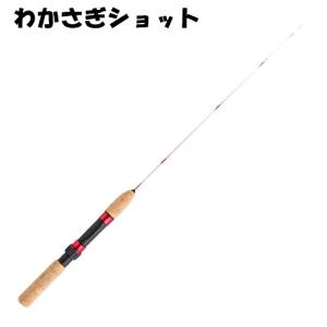 DAIWA（ダイワ） 早春 本流 硬調硬 85M : Fishing KAMIYAMA - 通販