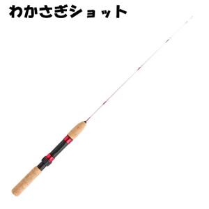 お買い得 ワカサギショット 60 (ワカサギ竿) (釣り竿) (釣り具）｜fishing-you