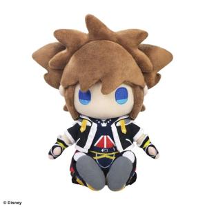 グッドスマイルカンパニー 『中古即納』{FIG} ねんどろいど 1487 ソラ