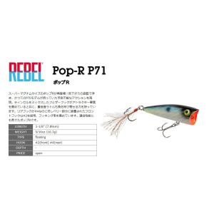REBEL POP-R P71 / レーベル　ポップR　P71