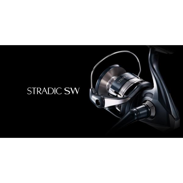 20STRADIC ストラディック SW 6000PG