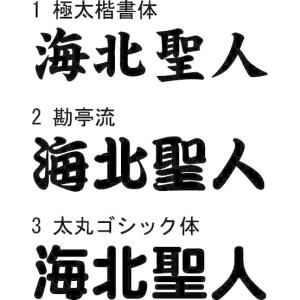 バッカンその他　カッティングネームステッカー【強粘着】 5文字で１０００円　※文字サイズ3ｃｍ各　縦・横書き対応