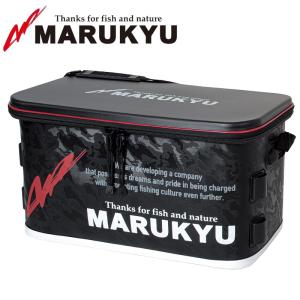 DAIWA（ダイワ） エメラルダスSTOIST AGS IL 89LML