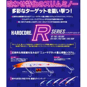 DUEL ハードコア R15 150F 20g...の詳細画像2