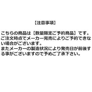 サンライン ワンマイルショルダーバッグ SFB...の詳細画像3