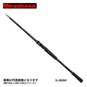 DAIWA（ダイワ） キャタリナ 5000H / CATALINA スピニングリール