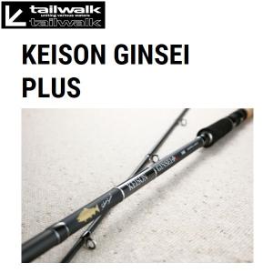 テイルウォーク KEISON GINSEI PLUS 106H 大型便C｜fishingmax-webshop