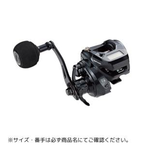 tailwalk（テイルウォーク） ヴィレイヤー DG 100HG-DH/L 爆買