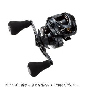 tailwalk（テイルウォーク） タイゲーム 100-DH/L 爆買 : フィッシング