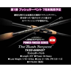 g*c様 エバーグリーン オライオン OCSS-69H ハイド アンド シーク f-marunishi3_4533625139160