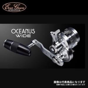 EverGreen（エバーグリーン） オケアノス ワイドHD 右ハンドル仕様