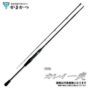 Gamakatsu（がまかつ） 船竿 がま船 カレイ一爽(いっそう) MH-160 (並