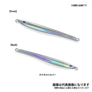 セカンドステージ ○セカンドジグ 帝 120g ノーマルカラー シルバー