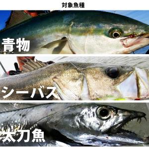 アズーロ 太刀魚T-FLASH2 72S グロ...の詳細画像5