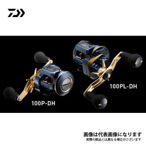 DAIWA（ダイワ） ソルティガ IC 100 2021モデル 爆買 : フィッシング