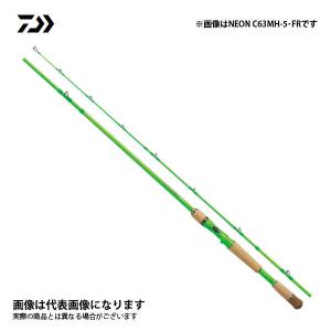 TAPER＆SHAPE ジャパントラウトV GJTVC-410ULLT トラウトロッド - 最