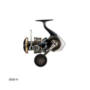 DAIWA（釣り） ダイワ 21 セルテート SW 8000-P (2021年モデル
