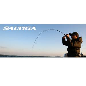 DAIWA（ダイワ） SALTIGA BJ 63XHS−S・V ／ジギング