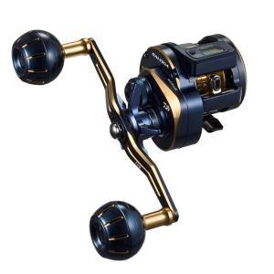 DAIWA（ダイワ） ソルティガ IC 100 2021モデル 爆買 : フィッシング