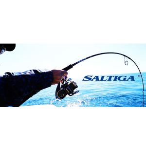 DAIWA（ダイワ） ソルティガR J56S-4 HI 2021新製品 大型便C 爆買