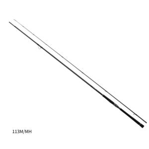 DAIWA（ダイワ） 22 エメラルダス ストイスト RT IL 79MMH 2022年新