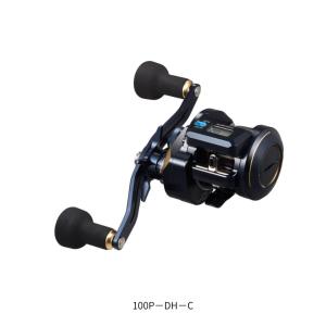 DAIWA（ダイワ） [90] 25 ソルティガ IC 100P-DH-C 2026年追加機種 (G1