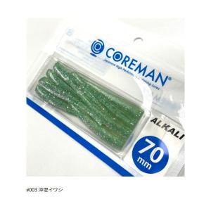 スミス CB.ナガマサ 400g 01 ブルーイワシ 爆買 : フィッシング