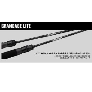 アピア（APIA）GRANDAGE LITE 55 大型便A