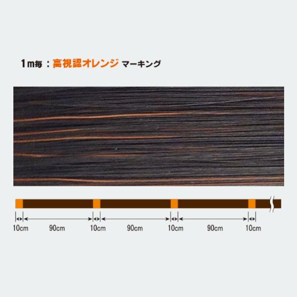 デュエル アーマードF+PRO ロックフィッシュ 150m 0.6号  【特価ライン】 爆買