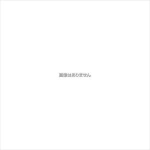 リューギ ピアスダブル ＃2／0 爆買