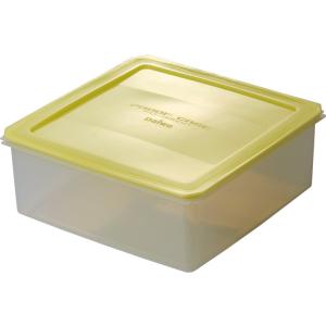 DAIWA（釣り） ダイワ クリスティア ワカサギ 穂先ケース 40(A