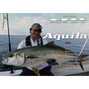 リップルフィッシャー Aquila アクイラ MLT82-3/6ボート キャスティング オフショアロッド｜fishingshopseacret