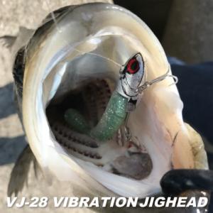 COREMAN VJ-28 VIBRATIONJIGHEAD バイブレーションジグヘッド 28