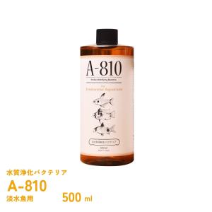 A-810 淡水魚用　純生バクテリア　500ml　日本プロジェクトバイオ｜fishjapan
